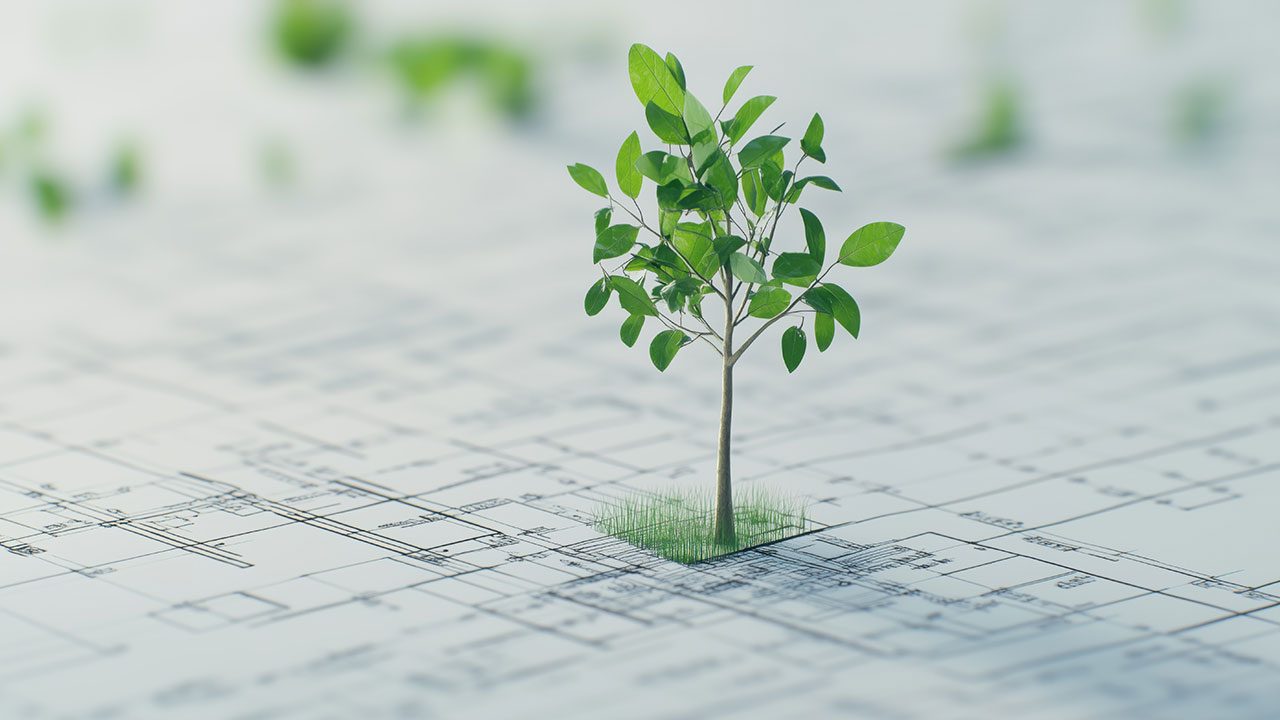 Consulta Pública – Projeto Agroflorestal das Herdades da Murta e Monte Novo