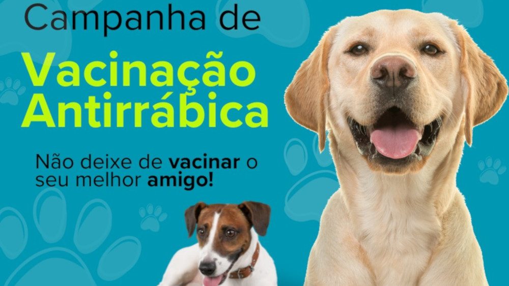 Sessão de vacinação para cães na Carrasqueira