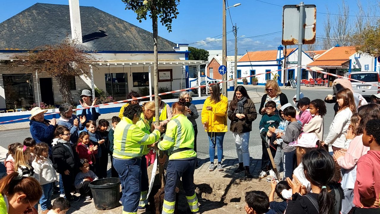Comemoração do Dia Mundial da Árvore 2025