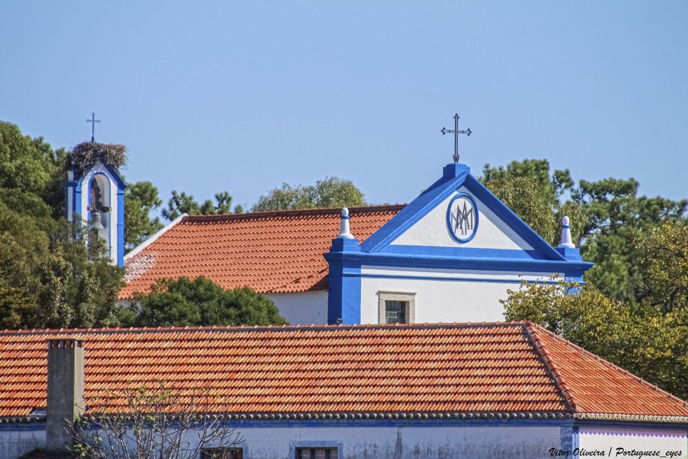 Foto: Vitor Oliveira from Torres Vedras, PORTUGAL / Wikimedia Commons (CC BY-SA 2.0)