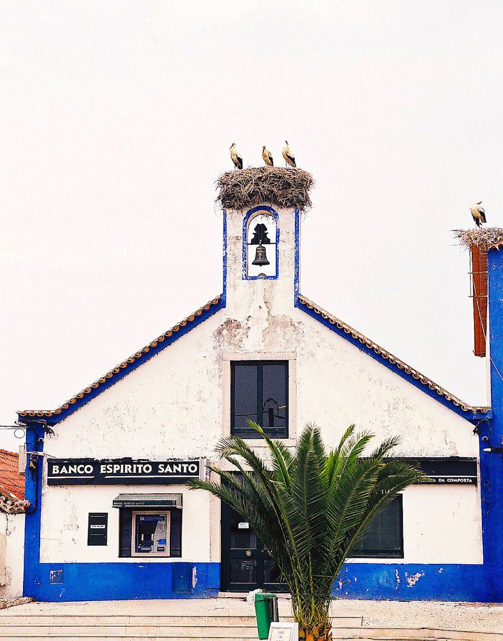 Foto: Vitor Oliveira from Torres Vedras, PORTUGAL / Wikimedia Commons (CC BY-SA 2.0)