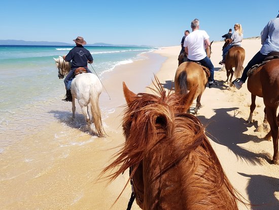 Cavalos na Areia