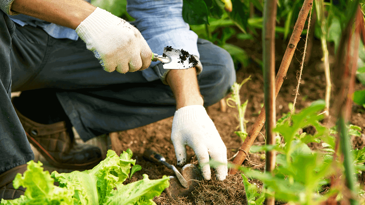 Identificação de pequenos produtores hortícolas locais - Convite à participação